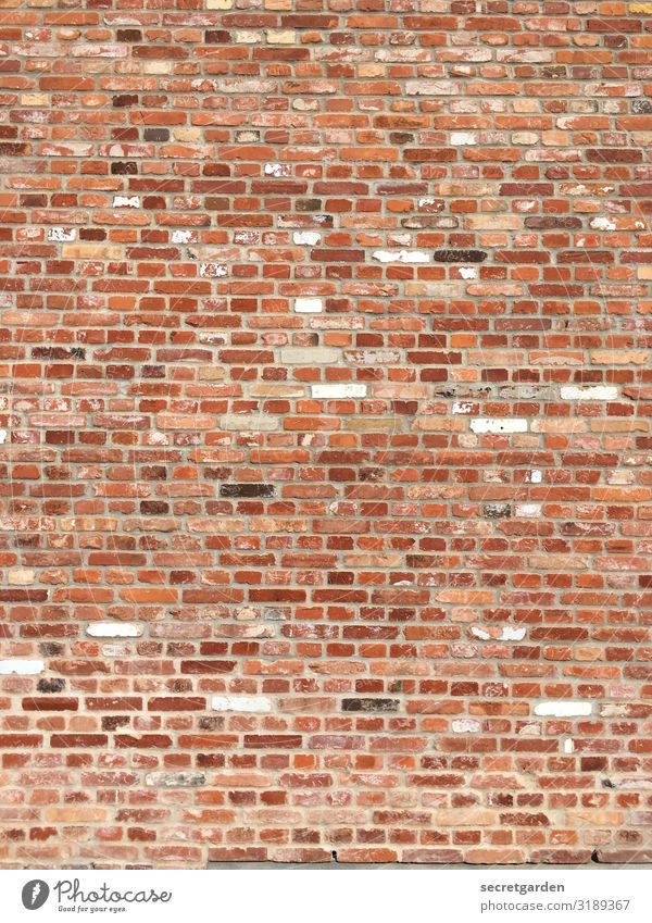 Systemrelevantes Gesprenkeltes. Wand ziegelstein ziegelrot Ziegel Ziegelmauer minimalistisch Textfreiraum Strukturen & Formen strukturell Muster Backstein Haus
