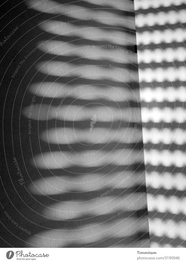 Eine Ecke mit Licht und Schatten Wand Linien Muster abstrakt Menschenleer Innenaufnahme Schwarzweißfoto schwarz grau