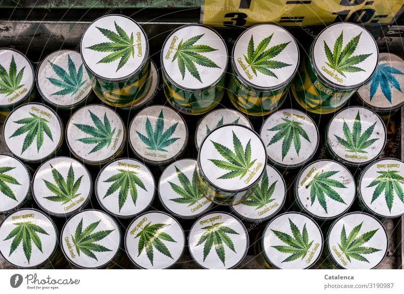 Seeds Starter Kit (Marihuana) Gesundheit Rauchen Rauschmittel Medikament Pflanze Cannabis Cannabisblatt Cannabissamen Dose bedrohlich gelb grün weiß Freude