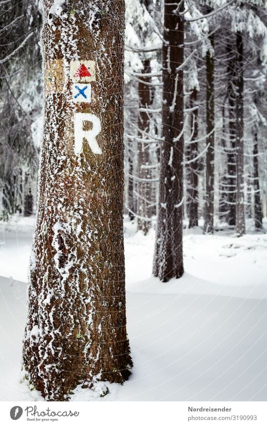 Rennsteig im Winter Ferien & Urlaub & Reisen Ausflug Winterurlaub wandern Landwirtschaft Forstwirtschaft Natur Landschaft Klima Schönes Wetter Eis Frost Schnee