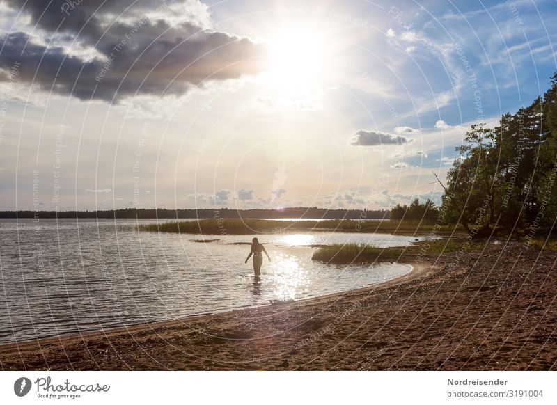 Wärme des letzten Sommers Silhouette Kontrast Schatten Licht Textfreiraum unten Gedeckte Farben Farbfoto Außenaufnahme Skandinavien Schweden Leichtigkeit