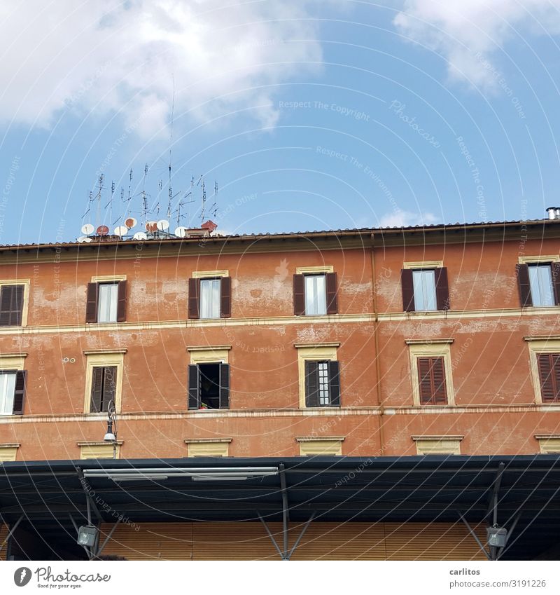 Rom | Antennenwald Italien Altstadt Fassade alt marode Verfall Charme Fensterfront