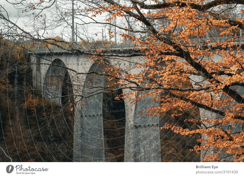 Bogenbrücke in Herbstfarben Ferien & Urlaub & Reisen Natur Landschaft Baum Menschenleer Brücke Wahrzeichen rund gelb grau ästhetisch Partnerschaft Europa