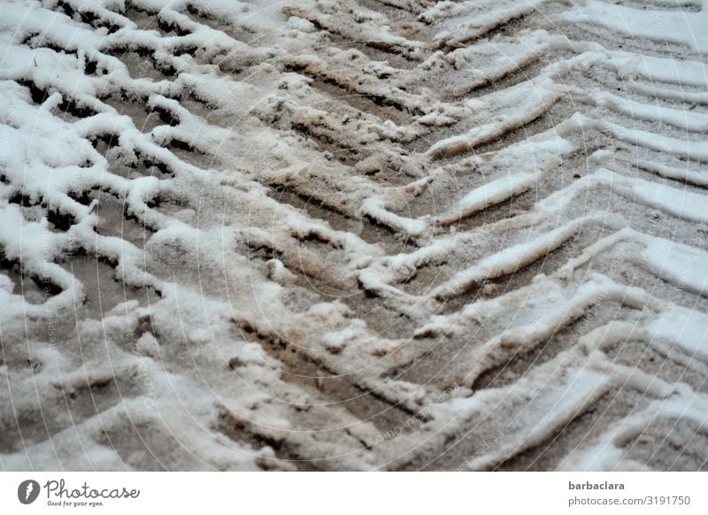Reifenspuren im Schnee Winter Eis Frost Wege & Pfade Fahrzeug Traktor Linie Streifen eckig kalt grau weiß Design Klima Mobilität Natur Gedeckte Farben