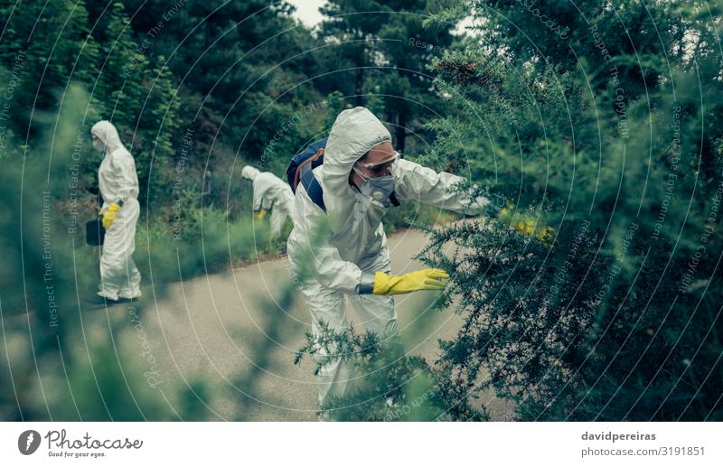 Menschen mit bakteriologischen Schutzanzügen auf der Suche nach Beweisen Arbeit & Erwerbstätigkeit Frau Erwachsene Mann Pflanze Straße PKW Handschuhe Krise
