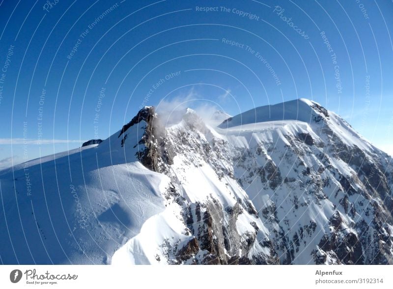 Schwarzhorn von Süden Klima Klimawandel Schönes Wetter Eis Frost Schnee Hügel Felsen Alpen Berge u. Gebirge Monte Rosa Gipfel Schneebedeckte Gipfel Gletscher