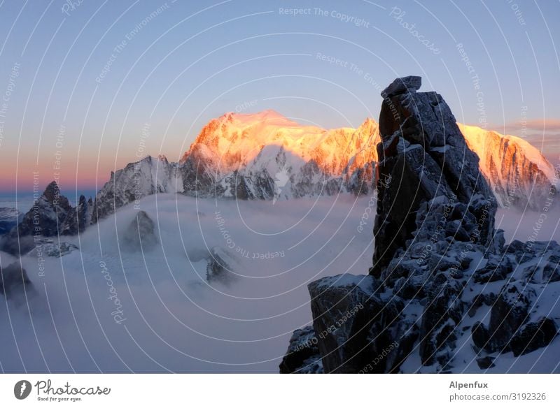 Alpenglühen XXL Klima Klimawandel Felsen Berge u. Gebirge Mont Blanc Gipfel Schneebedeckte Gipfel Gletscher leuchten Freude Glück Zufriedenheit Lebensfreude