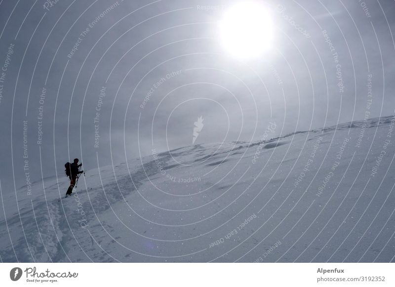 Die Orientierung | verloren 1 Mensch Schönes Wetter Eis Frost Schnee Alpen Berge u. Gebirge Gipfel Schneebedeckte Gipfel Gletscher Angst gefährlich Abenteuer