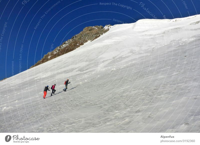 Leinenzwang Mensch 3 Schönes Wetter Eis Frost Felsen Alpen Berge u. Gebirge Gletscher laufen kalt Coolness Optimismus Erfolg Willensstärke Mut Tatkraft