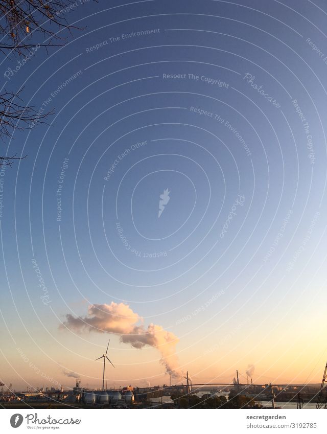 Hashtag skyporn Industrie Energiewirtschaft Windkraftanlage Kernkraftwerk Energiekrise Umwelt Wolkenloser Himmel Horizont Sonnenaufgang Sonnenuntergang Herbst