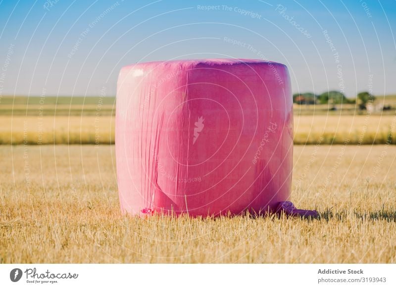 Ballen mit rosa Kunststoff umwickelt Landwirtschaft Strohballen Frauenbrust Krebs umhüllen Müsli Landschaft Bauernhof Feld Gold Getreide Ernte Heu Heugarben