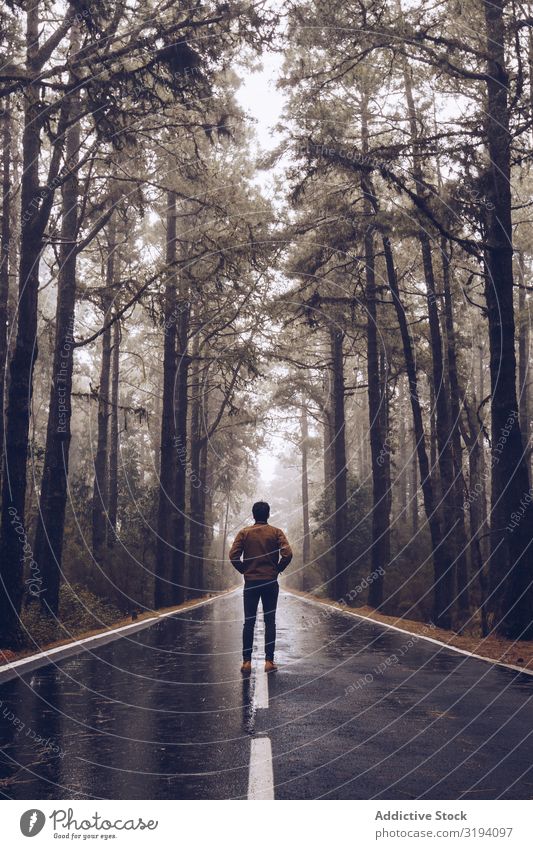 Reisender, der auf einer leeren Straße im Wald geht. Rucksack Landschaft wandern abgelegen Nebel ausleeren Wanderer Spanien Teneriffa Fahrbahn ruhig laufen