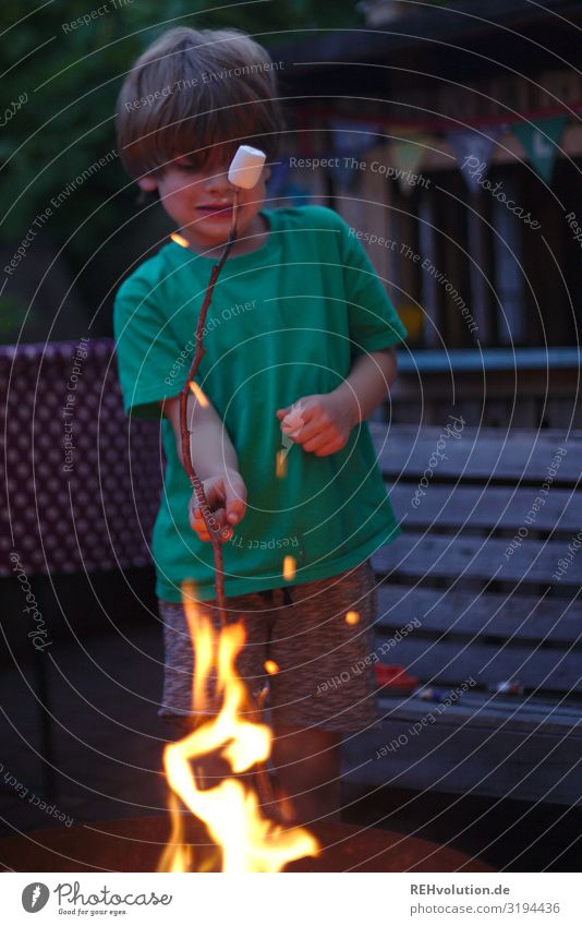 Kind mit Marshmallow am Feuer Lagerfeuer marshmallow heiß Sommer warm flammen Hitze TShirt Junge Kindheit Garten Essen süß Lebensmittel lecker Freude Glück