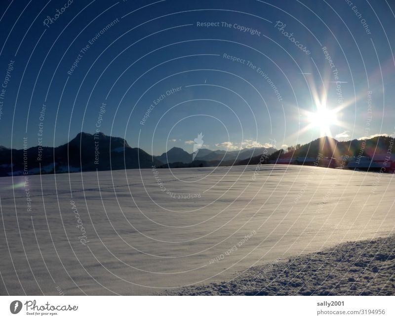 Wintersonne... Landschaft Sonne Sonnenlicht Schönes Wetter Schnee Alpen Berge u. Gebirge ästhetisch Ferne frei frisch kalt Einsamkeit Hoffnung Natur rein ruhig