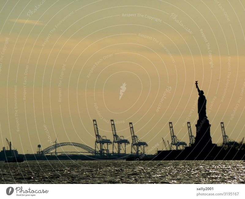Freedom... Freiheitsstatue Wahrzeichen Sehenswürdigkeit New York City Amerika USA Hafenstadt Bekanntheit fantastisch Kraft Sightseeing Skulptur Denkmal Kran