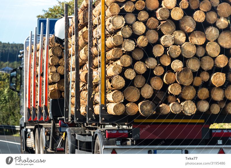 Holztransport. Getränk Umwelt Natur Landschaft Pflanze Baum Autobahn ästhetisch Güterverkehr & Logistik Baumstamm Holztransporter Farbfoto Außenaufnahme