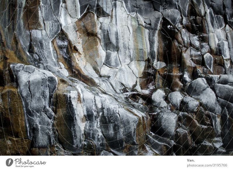 in Stein gemeiselt Natur Urelemente Felsen nass grau orange Glätte Gesteinsformationen Schlucht Farbfoto Gedeckte Farben Außenaufnahme Detailaufnahme Tag