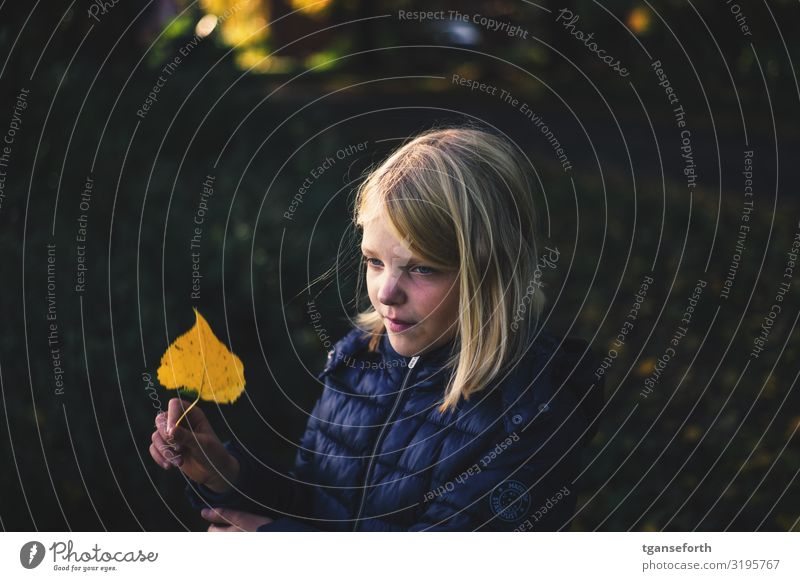Mädchen mit Herbstlaub in der Hand Kind Kindheit 1 Mensch 8-13 Jahre Natur Pflanze Blatt beobachten Lächeln Blick blond einfach Freundlichkeit Fröhlichkeit