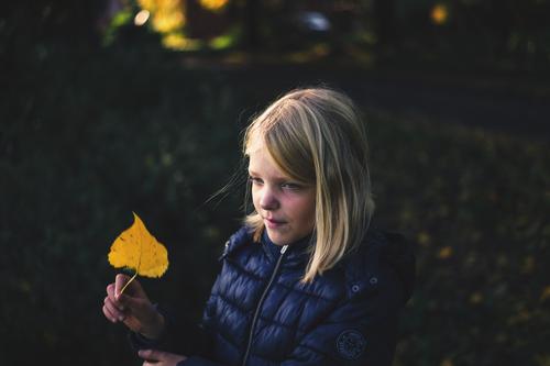 Mädchen mit Herbstlaub in der Hand Kind Kindheit 1 Mensch 8-13 Jahre Natur Pflanze Blatt beobachten Lächeln Blick blond einfach Freundlichkeit Fröhlichkeit