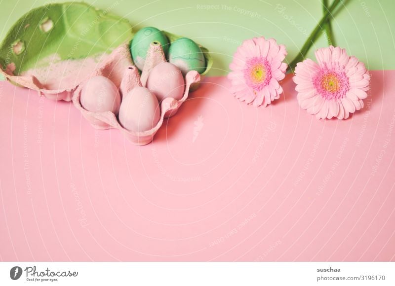angemalte eier Ostern Osterei Blüte Frühling grün rosa Blume rosa Hintergrund Textfreiraum Dekoration & Verzierung Karte Tradition Ritual Stil Design Postkarte