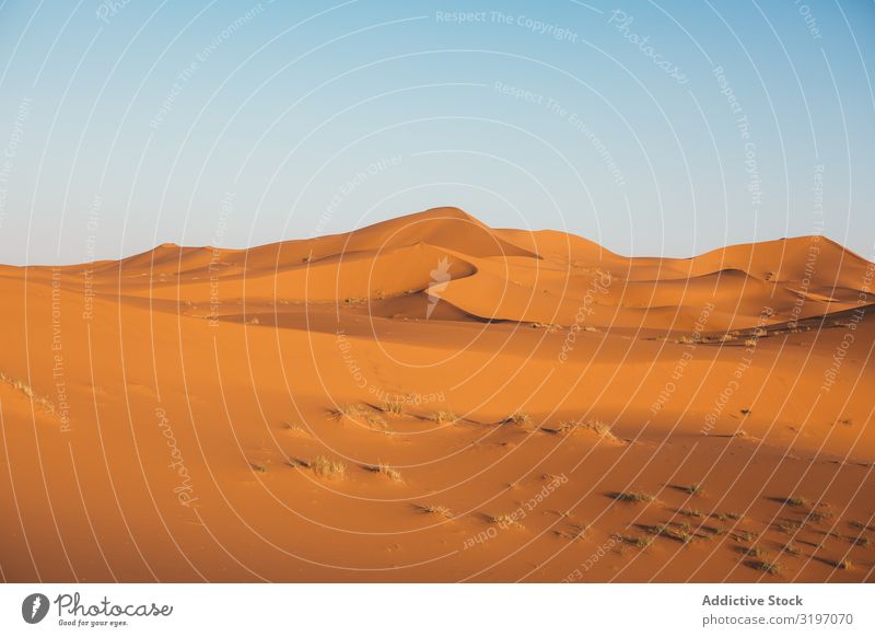 rote Sanddüne der Wüste in Marokko Düne Natur Landschaft Abenteuer Sonnenuntergang Sommer hell Gold Verkehr heiß Ausflug Ferien & Urlaub & Reisen Tourismus
