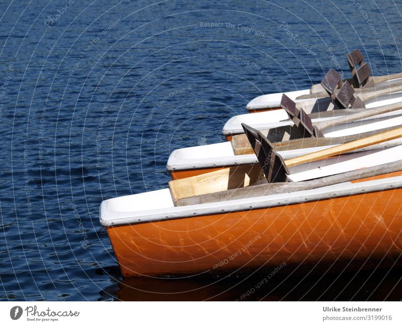 Hecks von vier Ruderbooten auf dem See Ferien & Urlaub & Reisen Tourismus Ausflug Sommerurlaub Natur Schönes Wetter Wellen Menschenleer Schifffahrt