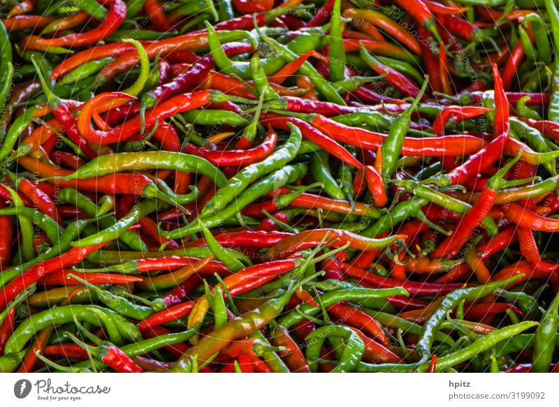 picante Küche Pflanze Nutzpflanze Essen frisch Gesundheit lecker grün rot Farbfoto Nahaufnahme Detailaufnahme Muster