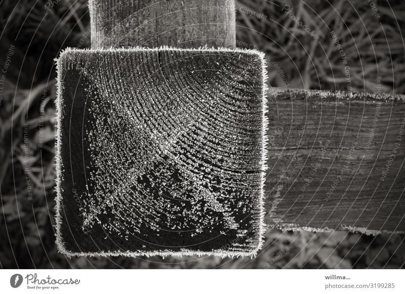 Raureif auf einem Holzquadrat, Detail eines Zauns kalt Kälte Winter Frost Pfosten Holzpfosten Gartenzaun Eiskristalle Quadrat rechtwinklig Schwarzweißfoto