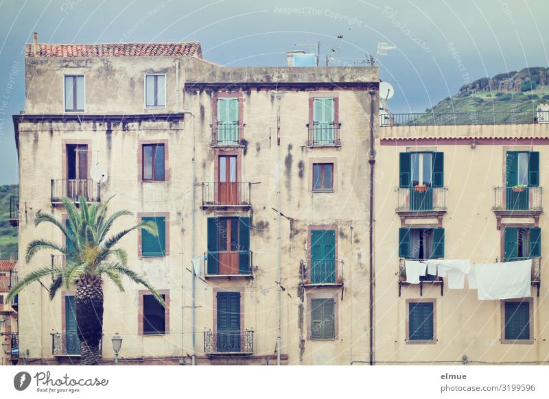 Hinter der Palme Häusliches Leben Bosa Italien Sardinien Kleinstadt Altstadt Haus Fassade Balkon alt authentisch einfach einzigartig bescheiden Ungerechtigkeit