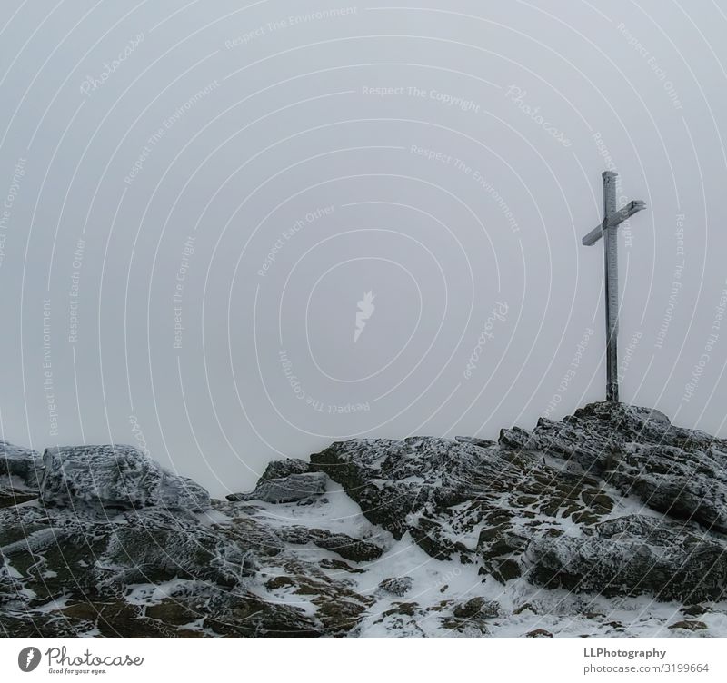 Gipfelstürmer Natur Landschaft Luft Wasser Wolken Herbst Winter Nebel Schnee Schneefall Felsen Berge u. Gebirge Schneebedeckte Gipfel Abenteuer Gipfelkreuz grau
