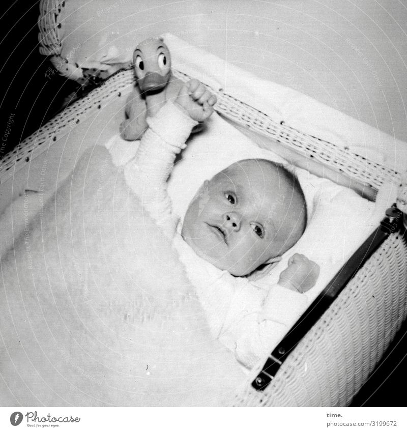 Leibwache Baby 1 Mensch Kinderwagen Spielzeug Ente Badeente Partner Decke Kissen beobachten liegen Blick warten Sicherheit Schutz Geborgenheit Sympathie