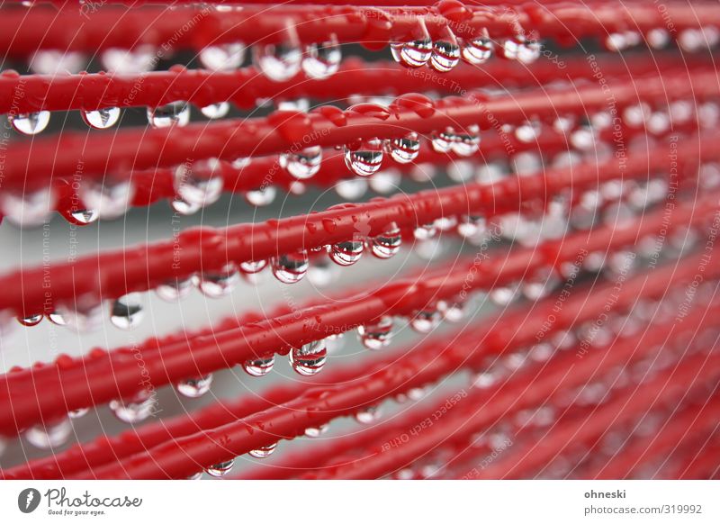 Mistwetter Wasser Wassertropfen Regen Seil Linie nass rot Farbfoto Außenaufnahme Muster Schwache Tiefenschärfe
