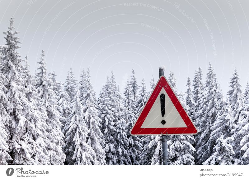 Achtung Winter Natur Landschaft Schnee Nadelbaum Nadelwald Baumkrone Wald Zeichen Schilder & Markierungen Verkehrszeichen Ausrufezeichen kalt Klima Vorsicht