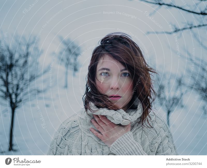 Verträumte Frau im Pullover vor Winterlandschaft Porträt Landschaft träumen Schnee brünett besinnlich Model weiß Gegend attraktiv Jahreszeiten kalt Stil Natur