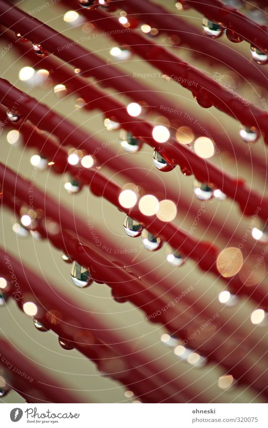 wet Wasser Wassertropfen Sonnenlicht Frühling Seil Linie nass rot Farbfoto Außenaufnahme abstrakt Strukturen & Formen Licht Reflexion & Spiegelung