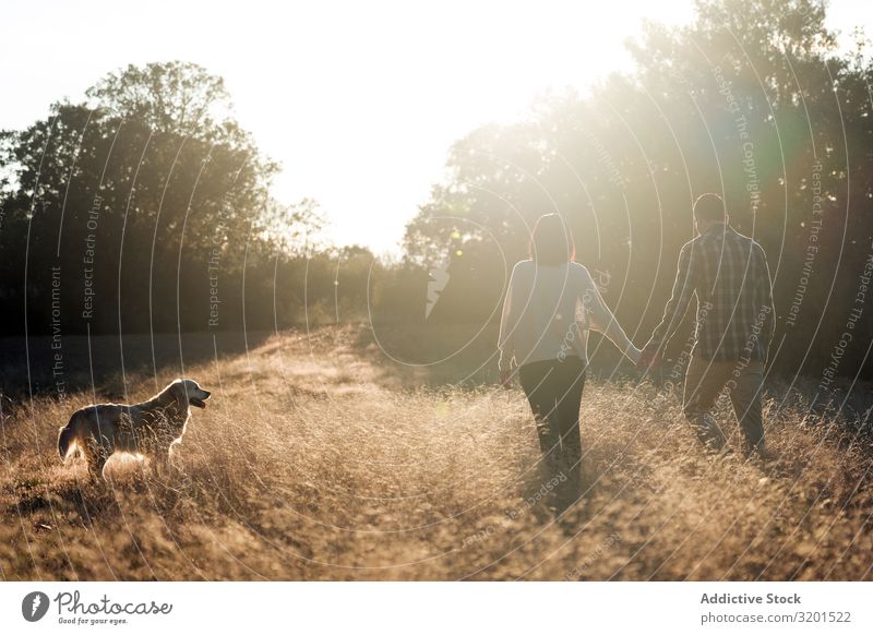 Paar mit Hund auf dem Land bei Sonnenuntergang Landschaft Feld Spaziergang harmonisch Zusammensein heimisch Gold ländlich Partnerschaft romantisch Länder