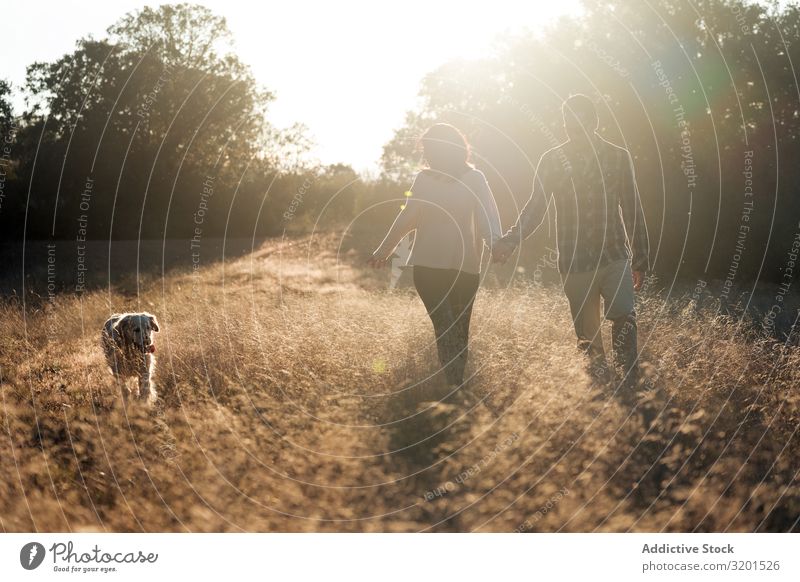 Paar mit Hund auf dem Land bei Sonnenuntergang Landschaft Feld Spaziergang harmonisch Zusammensein heimisch Gold ländlich Partnerschaft romantisch Länder
