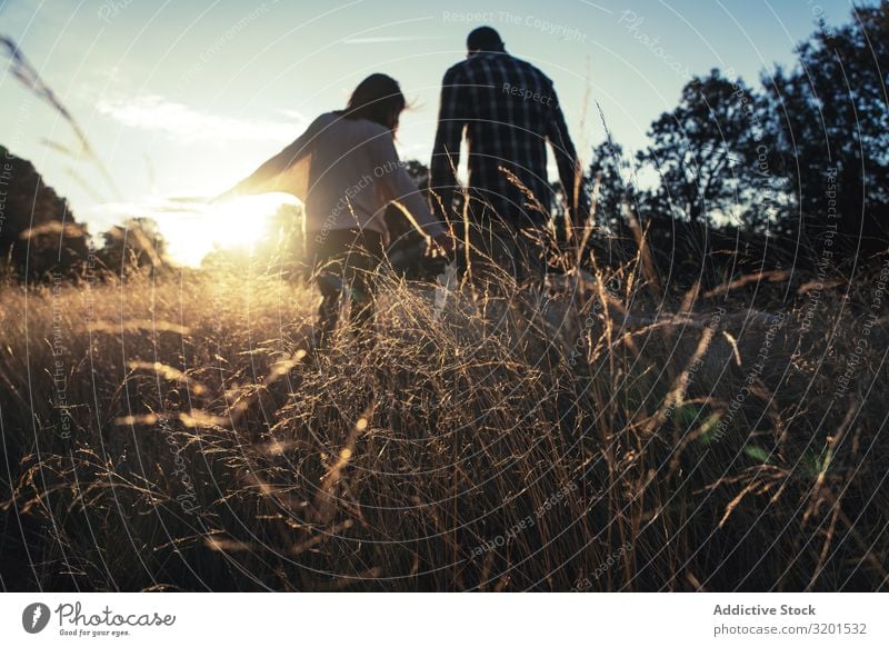 Liebespaar beim Spaziergang auf goldenem Feld Paar Sonnenuntergang ländlich Gold Zusammensein romantisch schön Gras Zufriedenheit Partnerschaft Aussicht