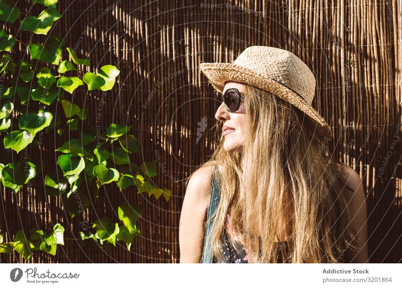 Erwachsene Frau mit Sonnenbrille sitzend Sommer Porträt träumen romantisch Zweig Pflanze Baum Holz anlehnen schön Stil Einsamkeit Inspiration Zufriedenheit