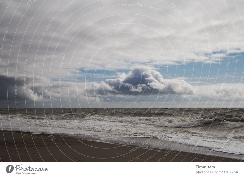 Nordsee mit Strand, Wolken und Wellen Nordseeküste Nordseestrand Wasser Sand Himmel Wetter grau blau Ferien & Urlaub & Reisen Dänemark