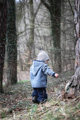Junge im Wald Ausflug Kind Kindheit 1 Mensch 1-3 Jahre Kleinkind Baum Hose Jacke Mütze Kapuze entdecken Spielen klein blau braun grau Schutz Verantwortung