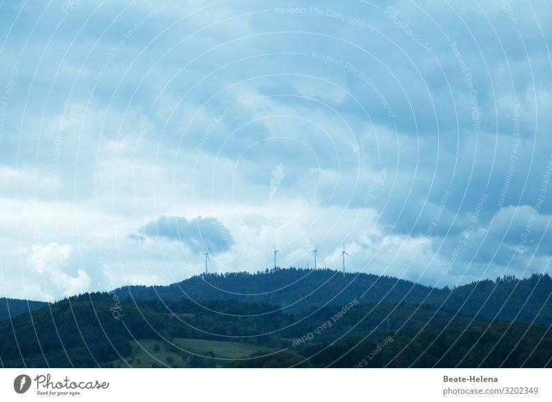Himmlisch Erneuerbare Energie Windkraftanlage Natur Landschaft Urelemente Himmel Wolken Sonne Wetter Wald Arbeit & Erwerbstätigkeit bauen beobachten Blick