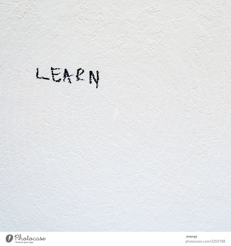 LEARN Bildung lernen Studium Mauer Wand Schriftzeichen hell weiß Schwarzweißfoto Außenaufnahme Nahaufnahme Menschenleer Textfreiraum rechts Textfreiraum oben