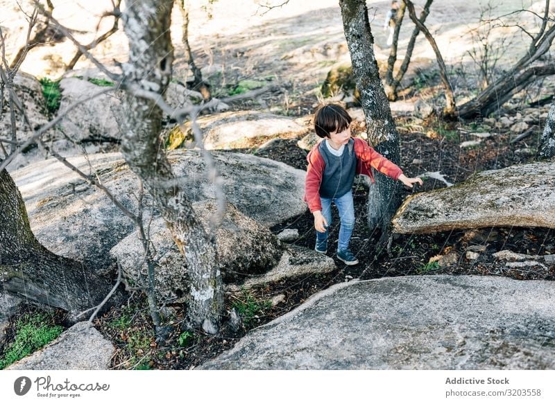 Kleiner Junge geht auf einem felsigen Hügel Natur erkunden Wald Felsen Kind Kindheit Aktion träumen Park Fundstück Ferien & Urlaub & Reisen Unbekümmertheit