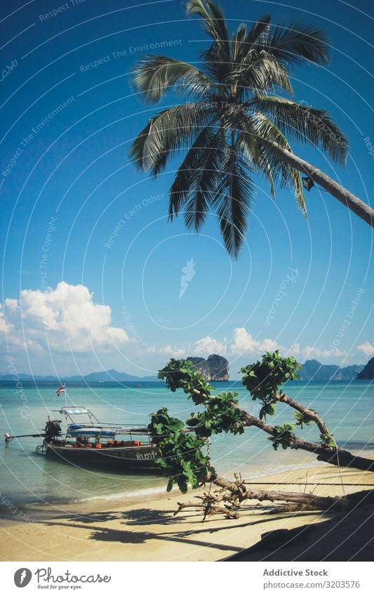 Tropischer Strand mit Palmen und schwimmenden Booten Wasserfahrzeug tropisch Thailand malerisch Meer Ferien & Urlaub & Reisen Landschaft Paradies