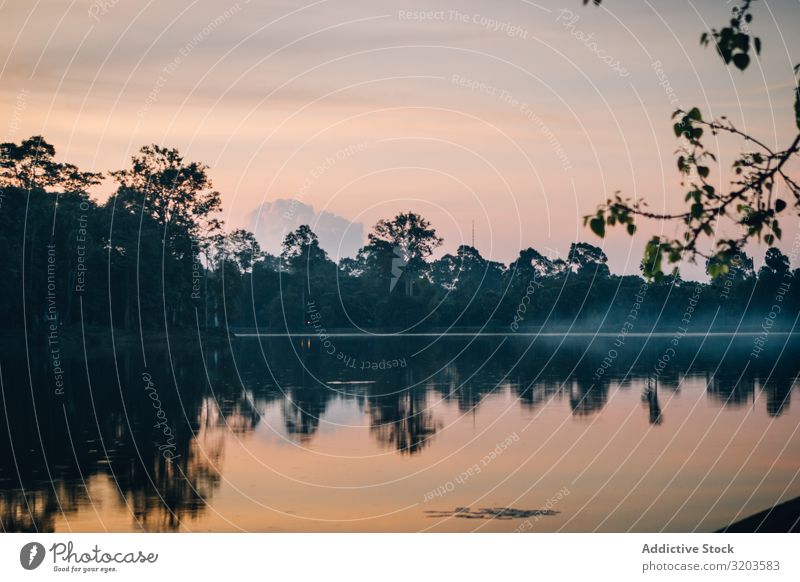 Leichter Nebel über dem friedlichen See am frühen Morgen Sonnenaufgang tropisch Landschaft Thailand Frieden ruhig Natur Wasser Abenddämmerung Im Wasser treiben