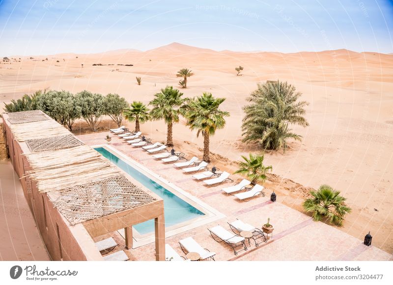 Der Pool eines exotischen Hotels in der Wüste Beckenrand Marokko Resort Oase Sommer Architektur Ferien & Urlaub & Reisen Stein Freizeit & Hobby Landschaft