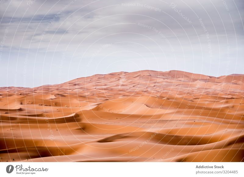 Sanddünen in der Wüste Sahara Dunes Marokko Landschaft Natur Afrika Tourismus Ferien & Urlaub & Reisen Orange Hintergrundbild Außenaufnahme arabisch regenarm