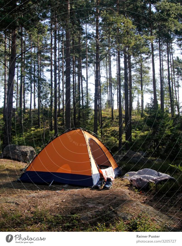 Zelten im Wald Lifestyle Camping Sommerurlaub Berge u. Gebirge wandern Schönes Wetter Schweden trendy braun grün orange achtsam Abenteuer