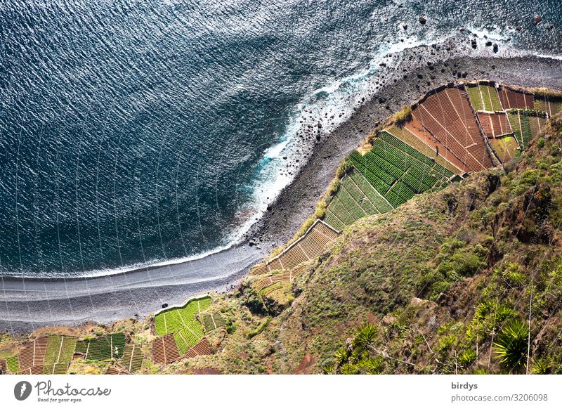 kurvige Küste von oben Landwirtschaft Forstwirtschaft Natur Landschaft Wasser Klimawandel Feld Wellen Strand Meer Atlantik Madeira authentisch hoch maritim